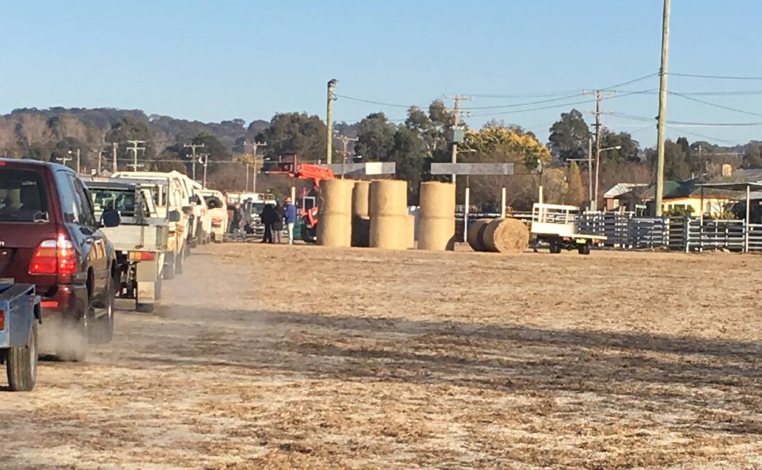 Hay Day #2 at Tenterfield Showground. It's all happening again on September 6. Photo by Marian Rogan.
