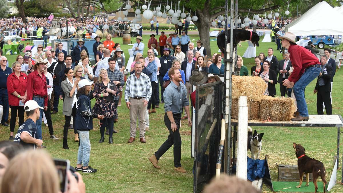 Prince Harry runs one of the BackTrack dogs through the high jump as Duchess Meghan watches on during the royals' recent visit to Dubbo. BackTrack will also be performing at the Tenterfield Show. Photo: Dean Lewins