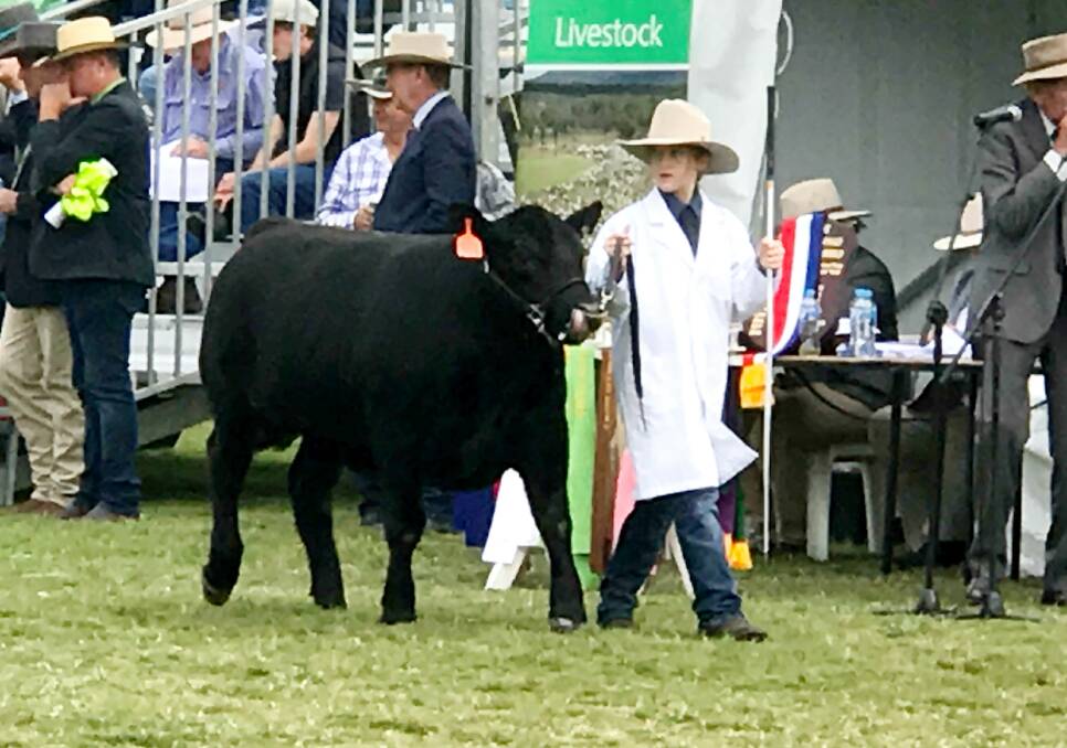Ag student Kiara Charlton parades the steer that went on to be named Grand Champion Led Steer Carcase at this year's Ekka.