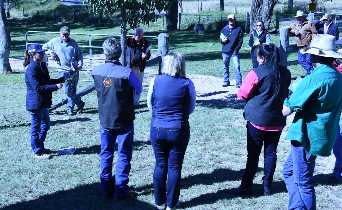 Local Land Services agronomist Georgie Oakes (far left) had sound advice (and some handy takeaways) for working with LLS officers to identify grasses.