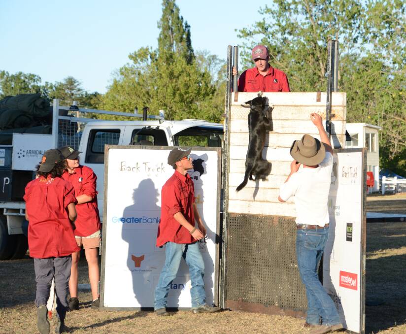 The BackTrack boys were at the Tenterfield Show in 2019 with their dog jumping exhibition but BackTrack will have a permanent presence in Tenterfield once its new Youth Hub is up and running.