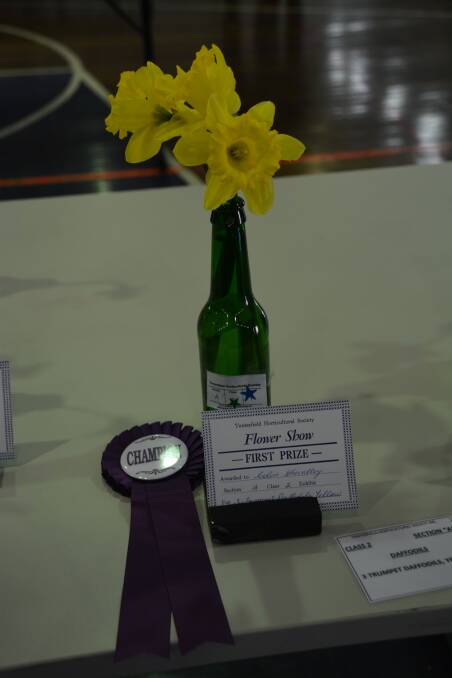 Champion Daffodil was awarded to Colin Chevalley.