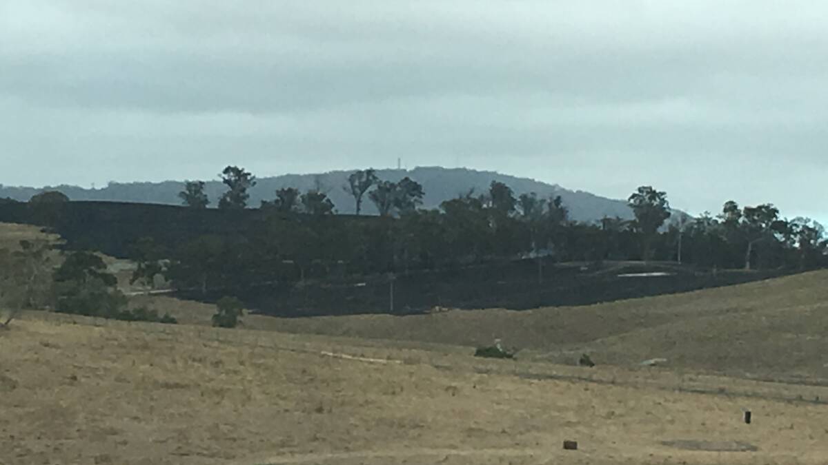 Ultimately 110 hectares was burnt in the fire, as it headed for the New England Highway and Mt Mackenzie (in the background) beyond.