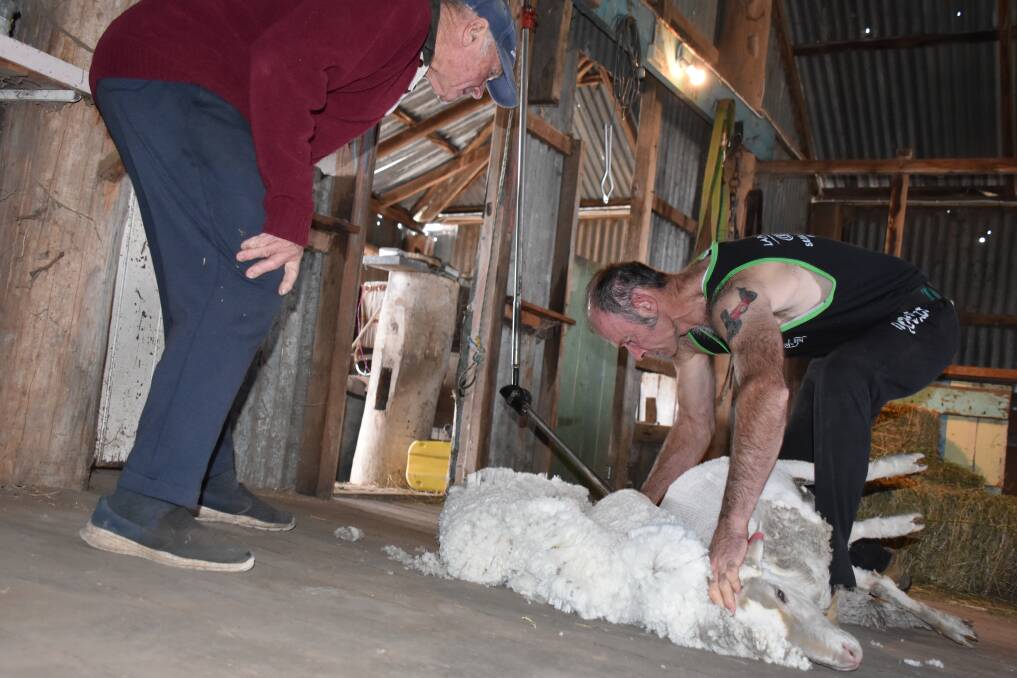 Cameron Griffith's dad Eric keeps a close eye on proceedings, four decades after he instructed Cameron on the first sheep he sheared on the same spot.