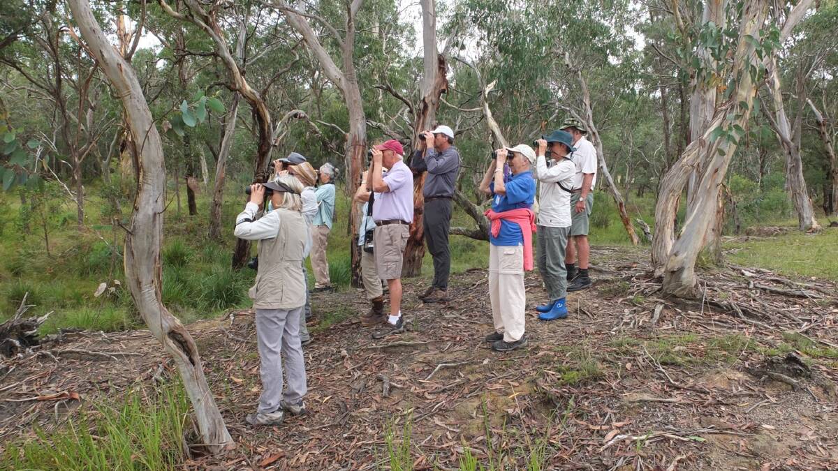 BirdLife NSW members check out bird spotting opportunties on Geoff and Claire Robertson's "Currawong" property, led by Neil Fordyce.