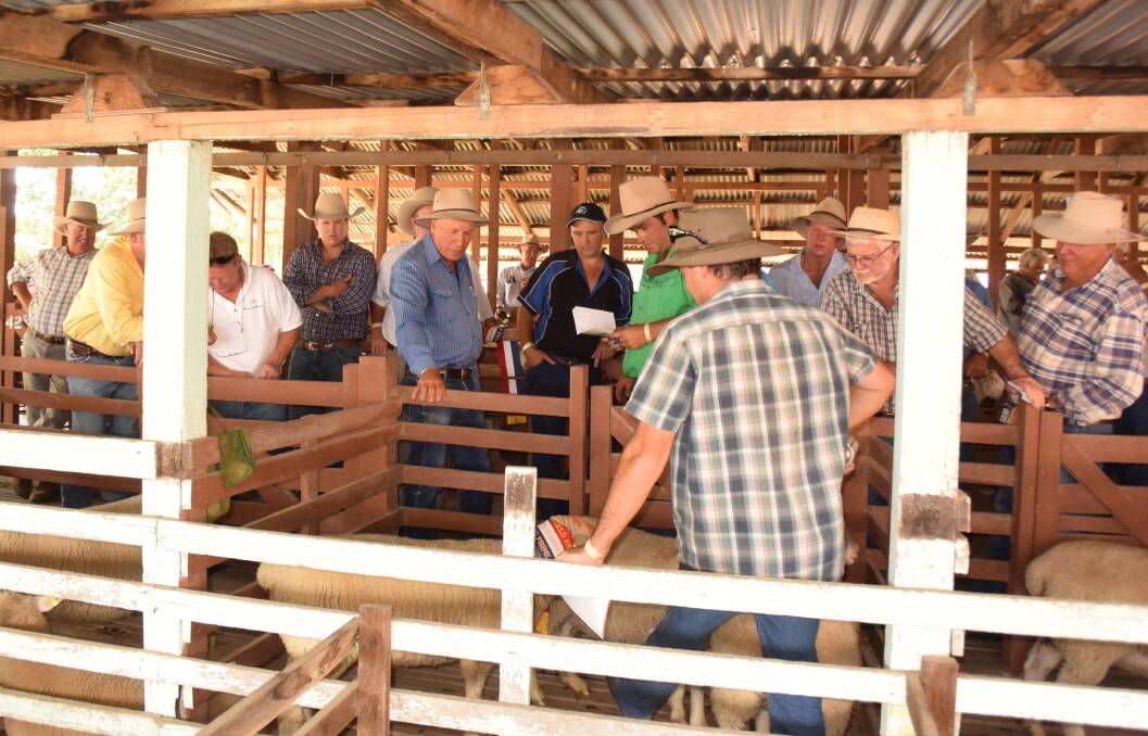 Steve Alford conducted the prime lambs auction.
