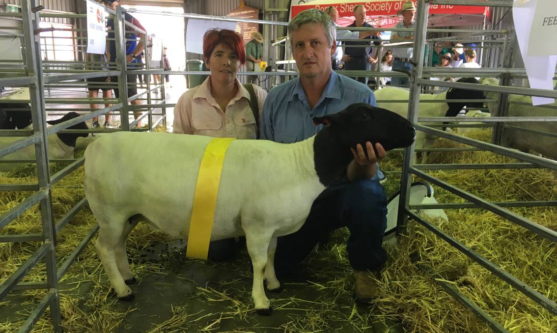 Tracey and Grant Hutchings of Tenterfield's Eventine Dorper & Kelpie Stud with their ribboned ewe at the National Dorper Show in Toowoomba.