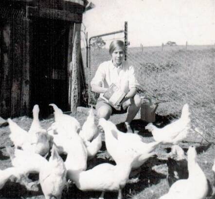 Alice with her brood at “Kilmurry” in January. 1969. 'Les Butler got me started in the “poultry” by giving us two ducks and one hen as a wedding present.  We left our “livestock” and our cat named Ned Kelly to Barry and Val George, who moved to “Kilmurry” when we left for the USA,' Alice said.