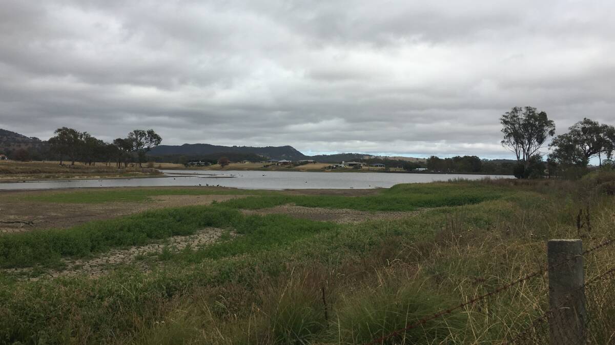 Tenterfield Dam water level is falling critically-low.