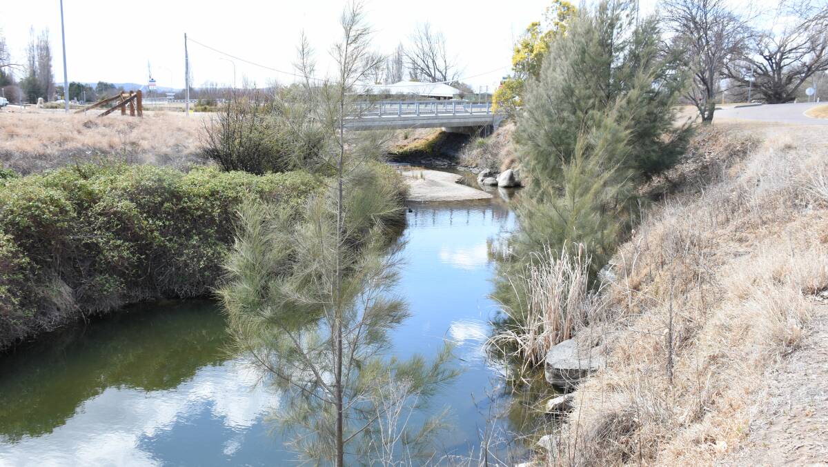 The stretch of creek between the Manners Street bridge and Naas Street is set for renovation, but water flow might be the issue.