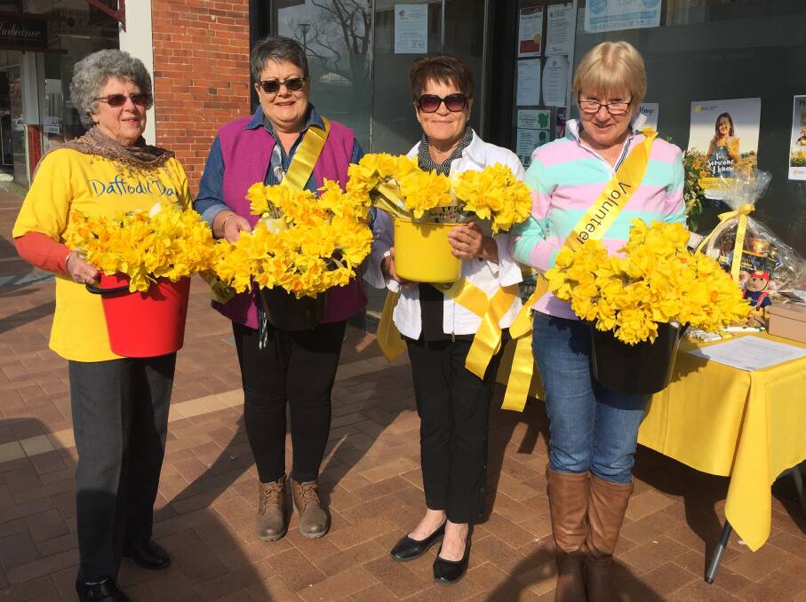 Daffodil Day ambassadors Janet Hayne, Sue Lucas, Ailsa Brown and Jenny Condrick didn't have to battle hail this time round.
