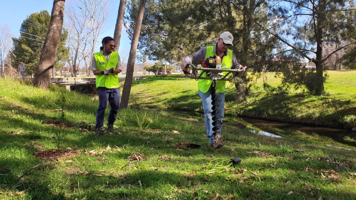 Gunimaa Nursery's Matt Sing and Ozfish's Michael Davey in tree-planting mode at Tenterfield Creek. Join in the activity this Sunday.