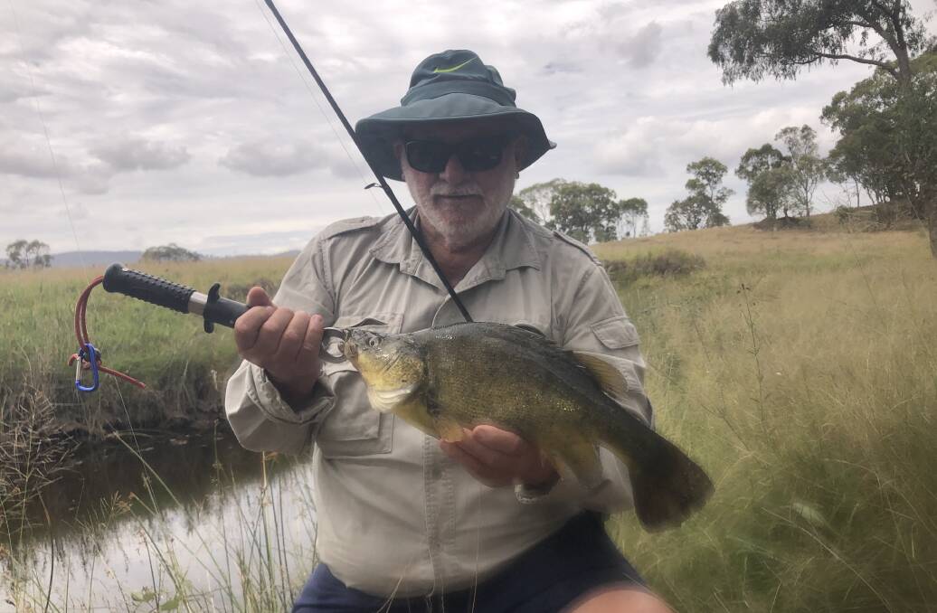 There;s also plenty of yellowbelly (golden perch) to be caught, like this beauty hooked by Greg Graham. Up to five over a length of 30cm can be taken home.