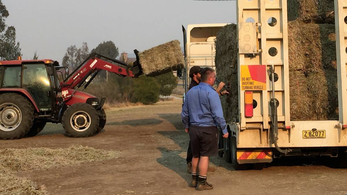 Guy Walker from Northern Tablelands Local Land Services helps load fodder for bushfire affected landholders.