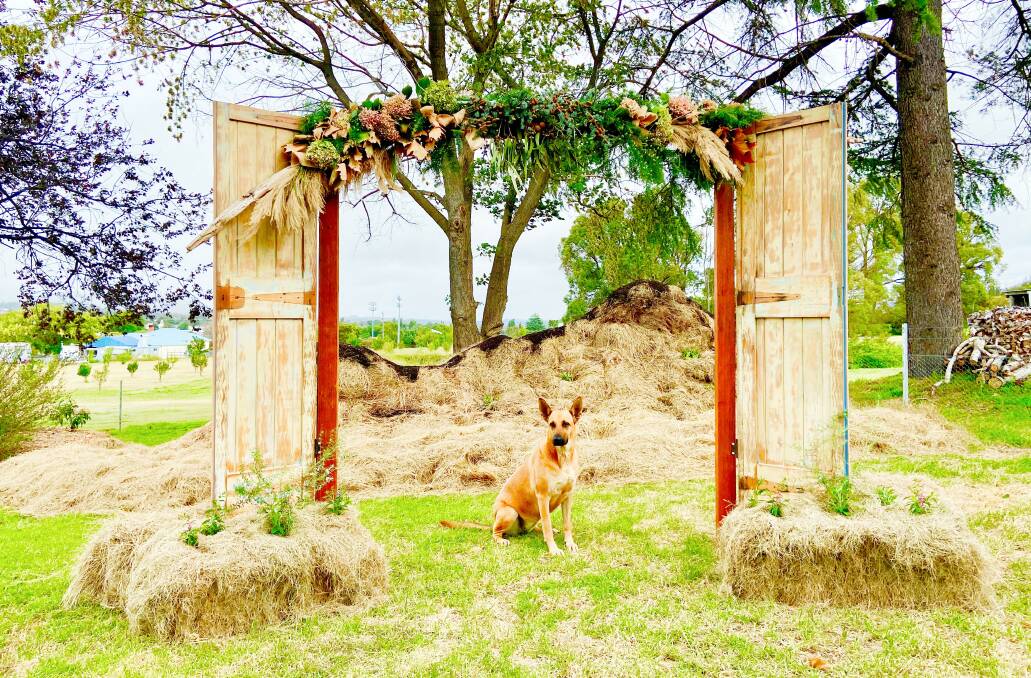 Rosenhof's sculpture, elegantly framing Grace the dog, incorporates an autumnal wreath and bales seeded with herbs and even potatoes for edible art come Easter, signifying fresh regrowth from the dry devastation of the bushfires.