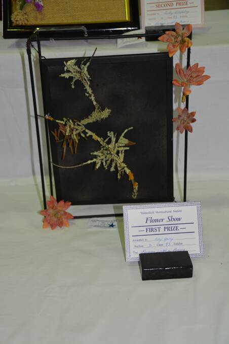 Design with a Frame was won by Kay Gray.