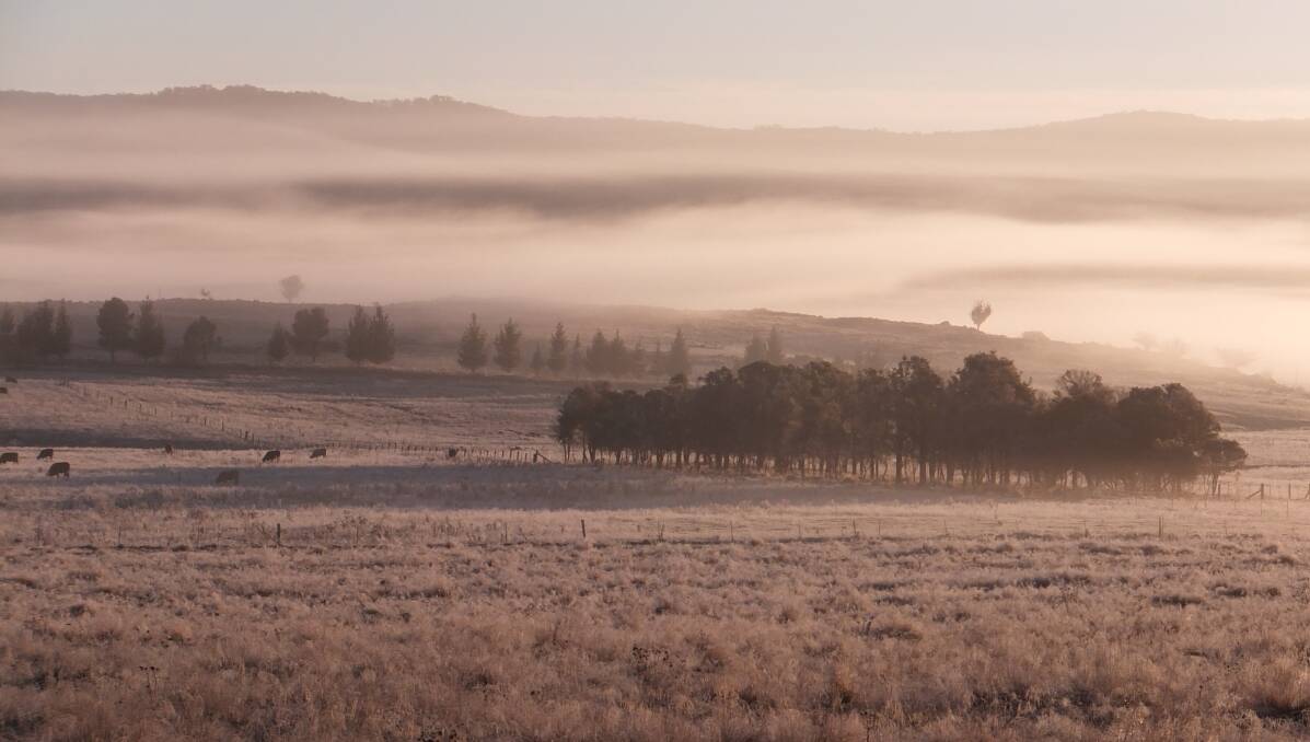 Capture Tenterfield: A misty sunrise. Photo by Kerrie Andrews.