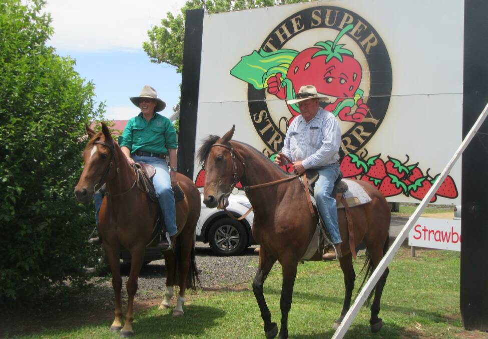 Border Country Trail Riders Pam O'Neil and Bruce Petrie were among those who travelled down from Tenterfield for the strawberry-themed outing.