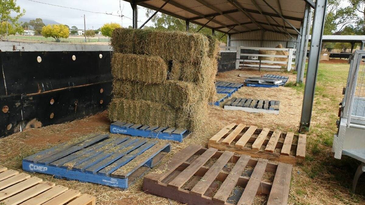 Thieves decide their need is greater, stealing hay from showground