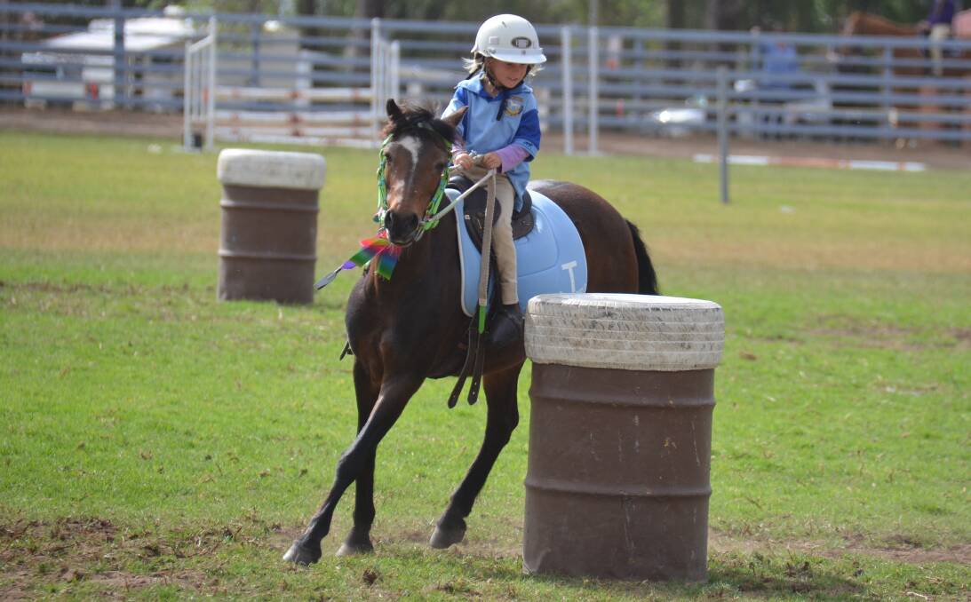 CONCENTRATION: Riders young and old took on the show riding, sporting and jumping events in Glen Innes on Saturday and Sunday. 