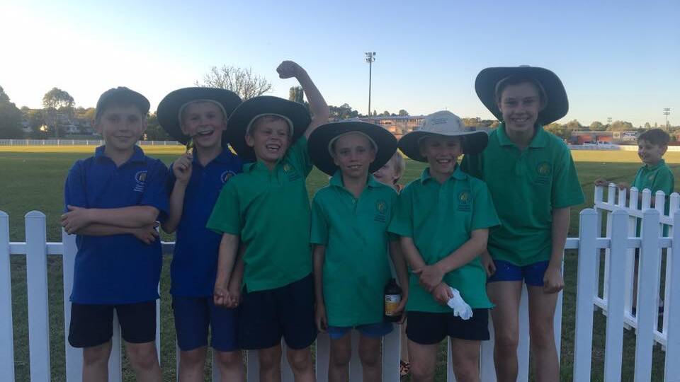 More options for juniors as cricket registrations open