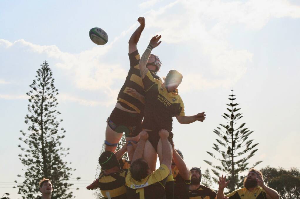 HANGING IN THERE: The Tenterfield Bumblebees were downed 24-14 against Yamba. Photo: Tenterfield Bumblebees RUFC Facebook. 