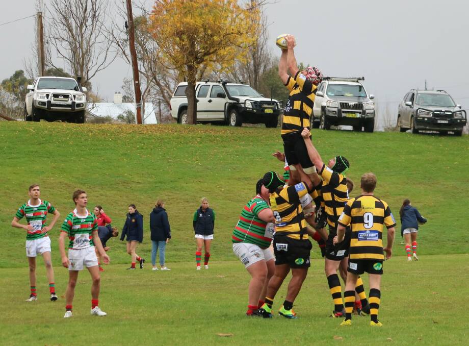 FLYING HIGH: The Bees claimed a win against St Albert's College. Photo: Tash Archibald