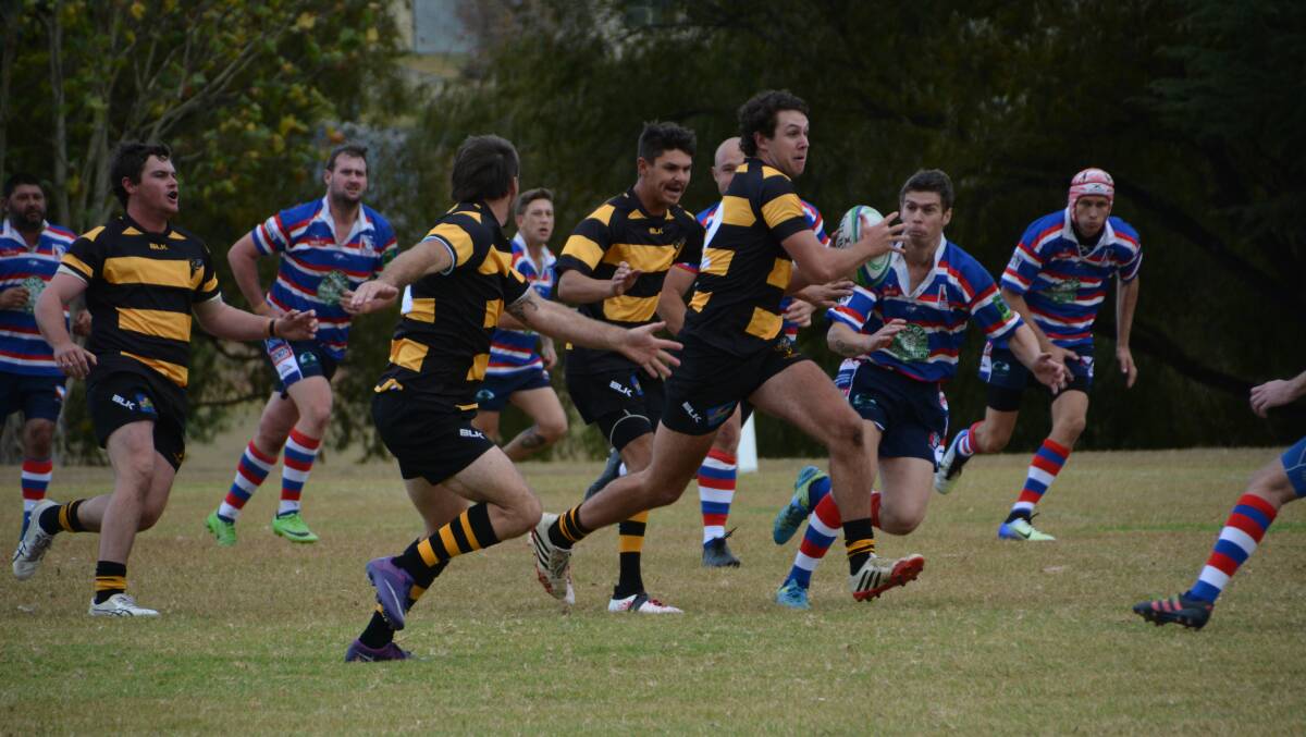 SHORTENED SEASON: The Tenterfield Bumblebees will play in the Far North Coast's competition this year. 