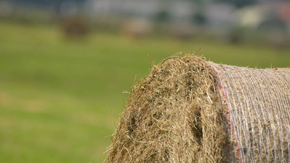 Man charged with $30,000 hay fraud