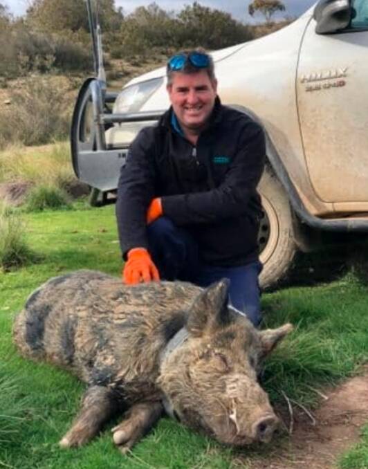 107kg pig drugged for collaring with Darren Marshall, South QLD
Landscapes. 