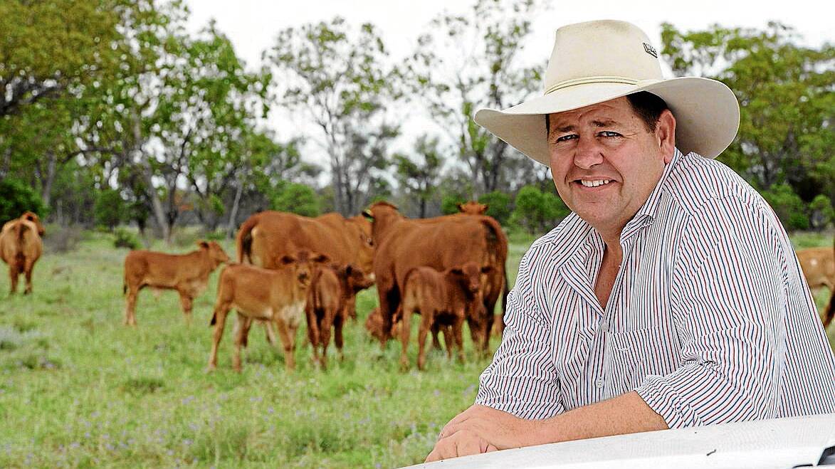Cattle farmer to run against Barnaby Joyce