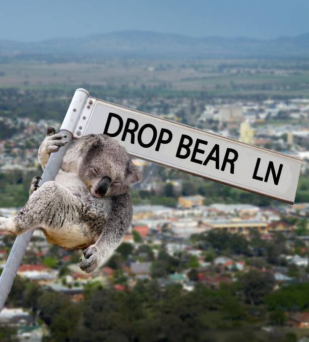 TOO MUCH TO BEAR: Residents want a nearby street named after some mythical Australian wildlife. Photo: Gareth Gardner