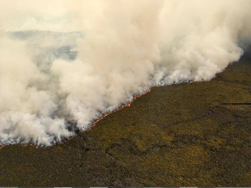 Fire authorities in Tasmania are battling new blazes along with a two-week-old bushfire.