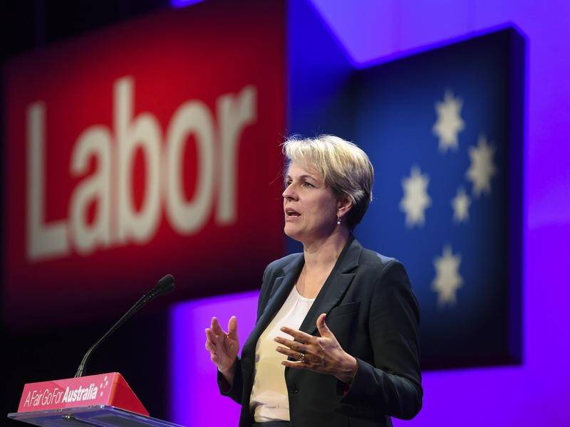 Tanya Plibersek has announced moves to address the gender pay gap at Labor's national conference.