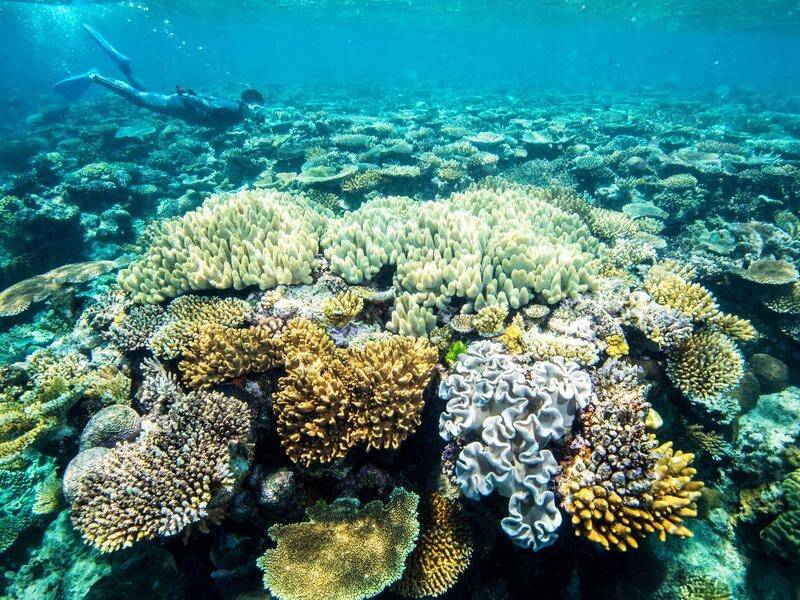 Queensland government funding will allow more than 6500 students to learn about the reef.