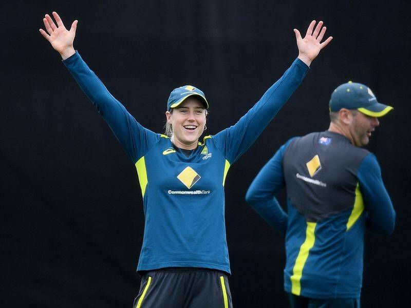 Ellyse Perry will finally get the chance to make her debut for Victoria this week after a long wait.