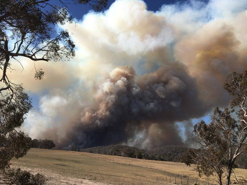 A firefighter remains in hospital with serious burns from a battling a bushfire in northern NSW.