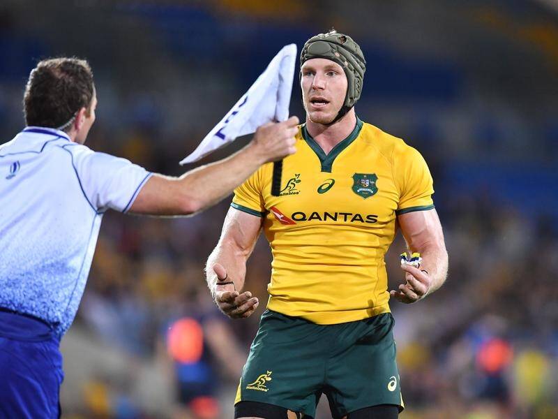 David Pocock looks set to announce his path to retirement from Australian rugby.