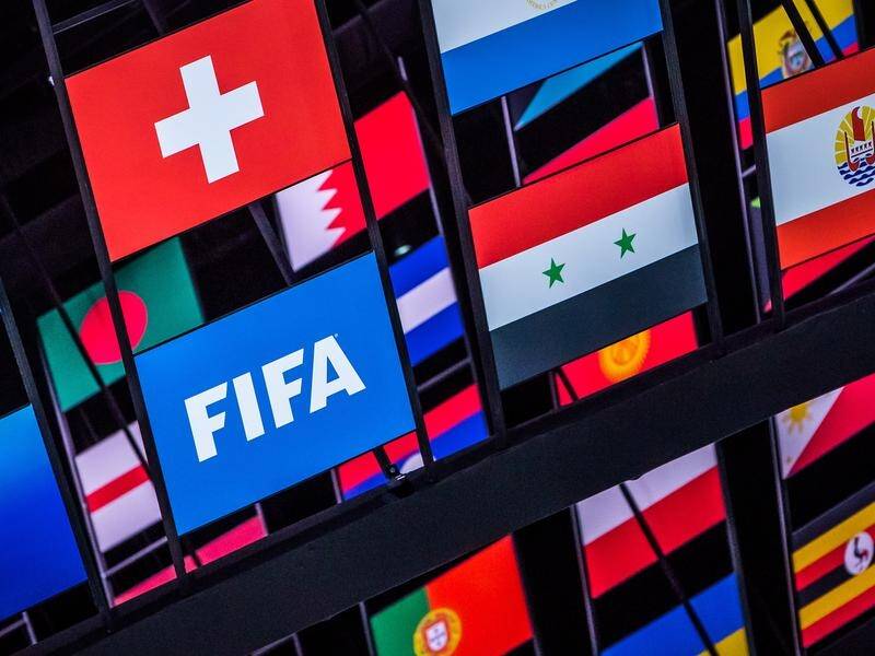FIFA has been warned that pushing on with a biennial World Cup could be very damaging for football.
