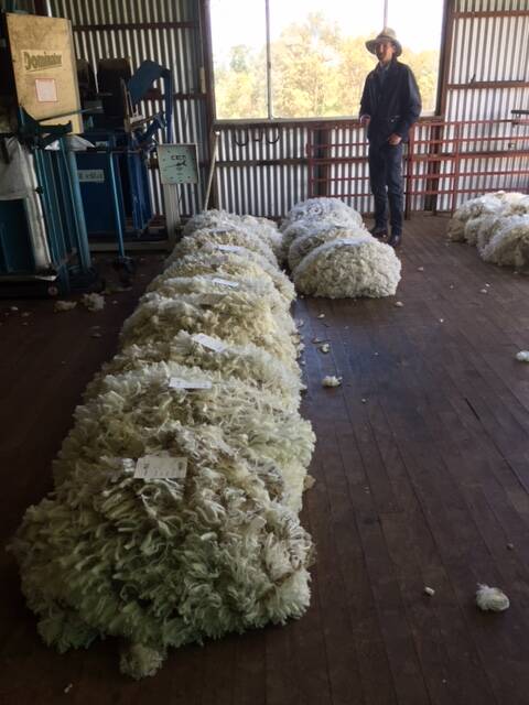 Half way there: the hard work of shearing has happened. Now the computere needs to do the work.