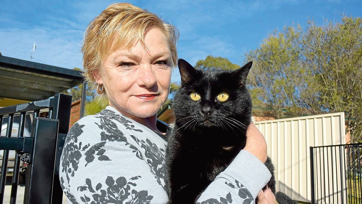Catastrophe: George the cat, who was a stray kitten that adopted Marie Ambrose and her husband Greg eight years ago, has certainly turned the Ambrose household upside down.