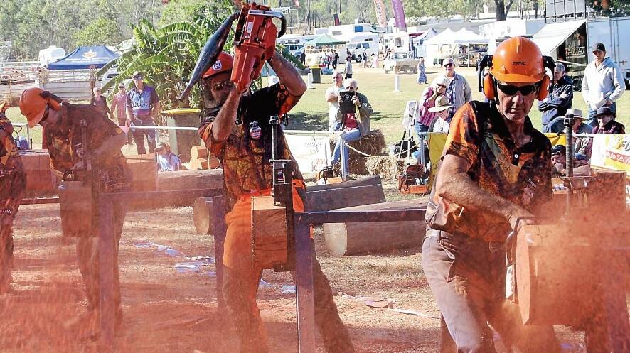 FIRST UP: Jason Chisholm claims first place in his chainsaw racing division at the national titles at Mt Larcom.