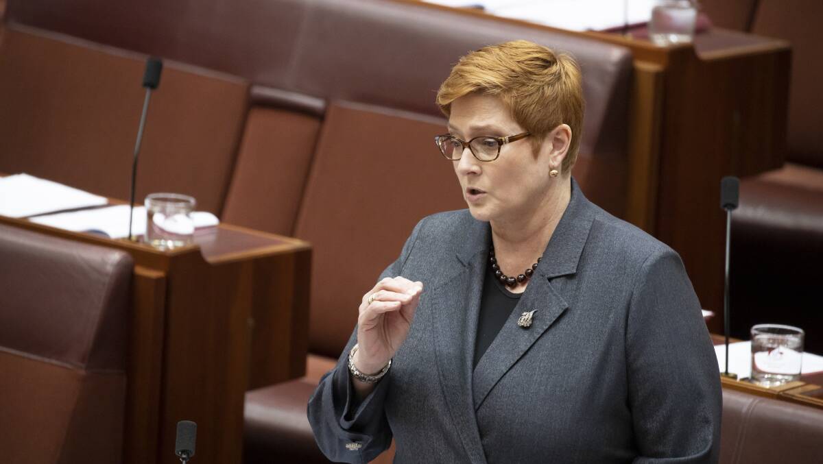 Minister for Women Senator Marise Payne has been nearly invisible during the budget process. Picture: Sitthixay Ditthavong