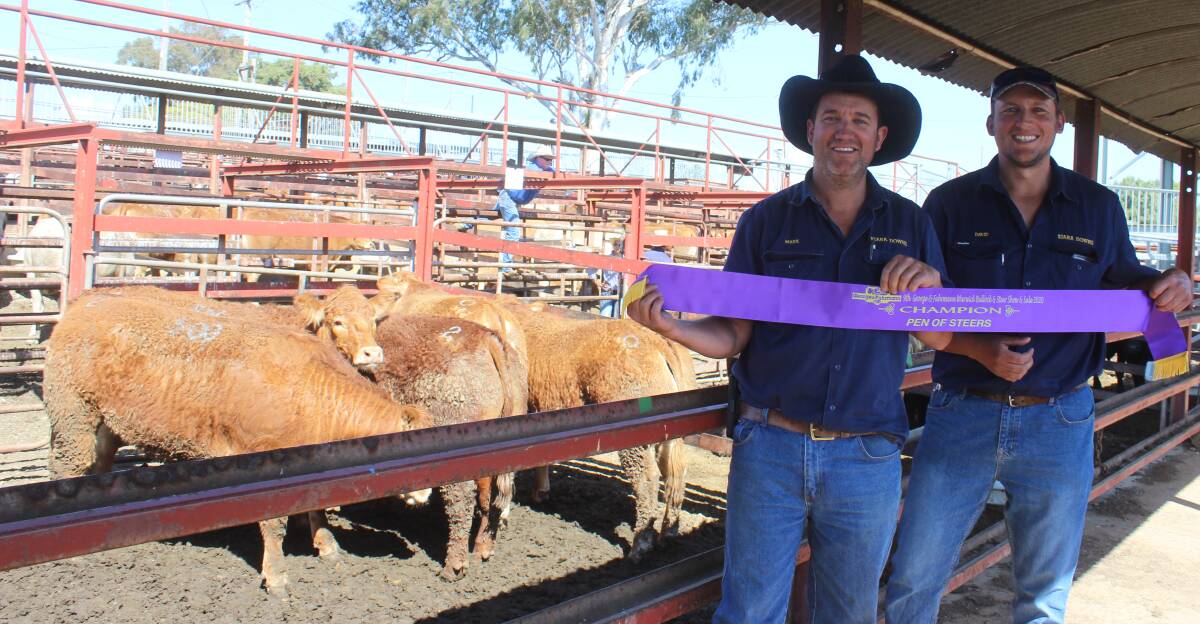  Mark and David Gasparin, Kiara Downs, Tenterfield claimed the champion pen of steers with their pen of Limousin steers in the 612 kilogram and over weight range. These steers sold for 386c/kg to return $2478/head. 