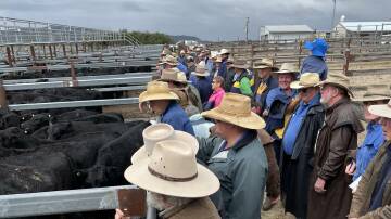 Part of the crowd at the Tenterfield weaner sale.